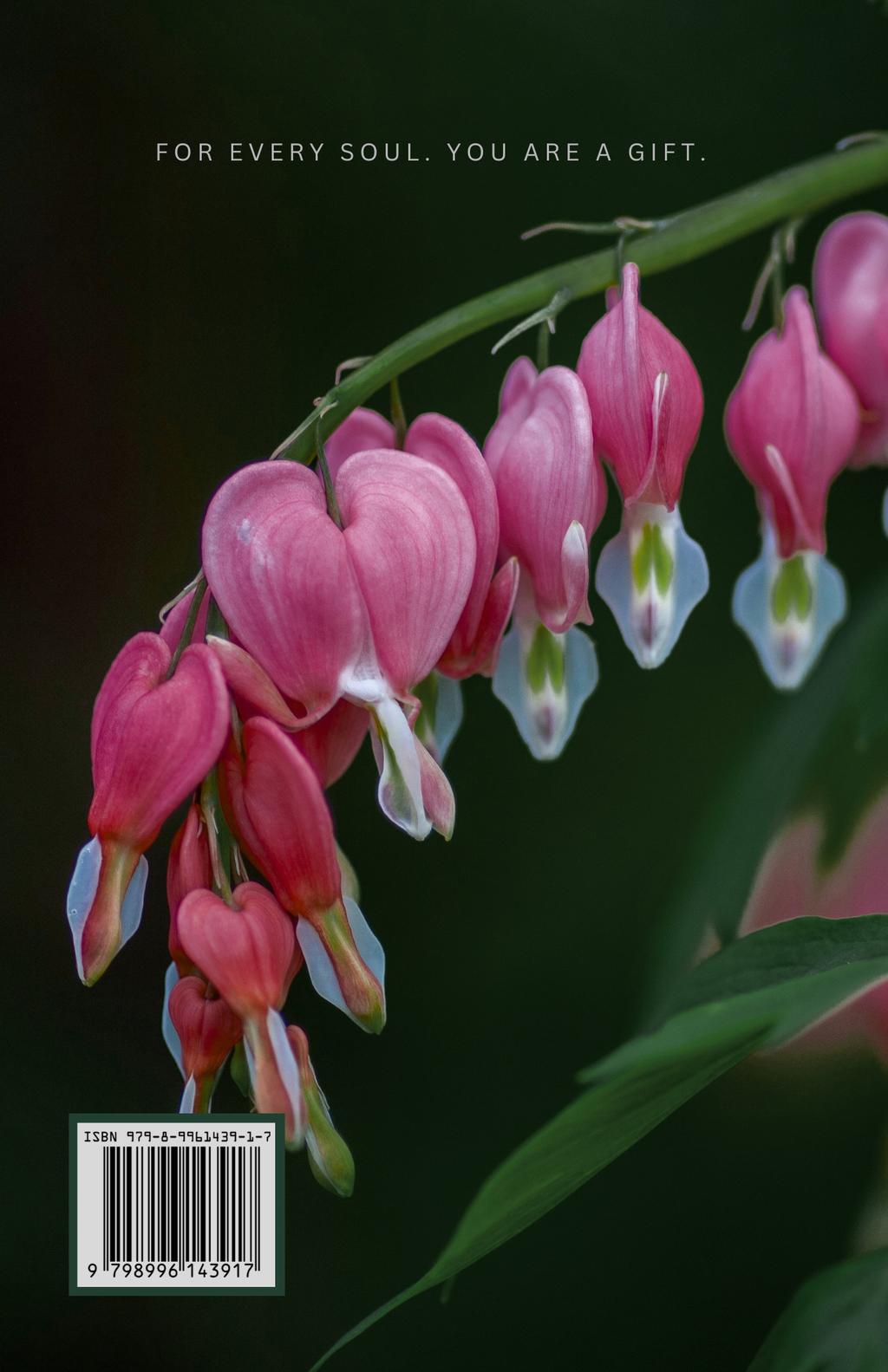 Bleeding Hearts Book
