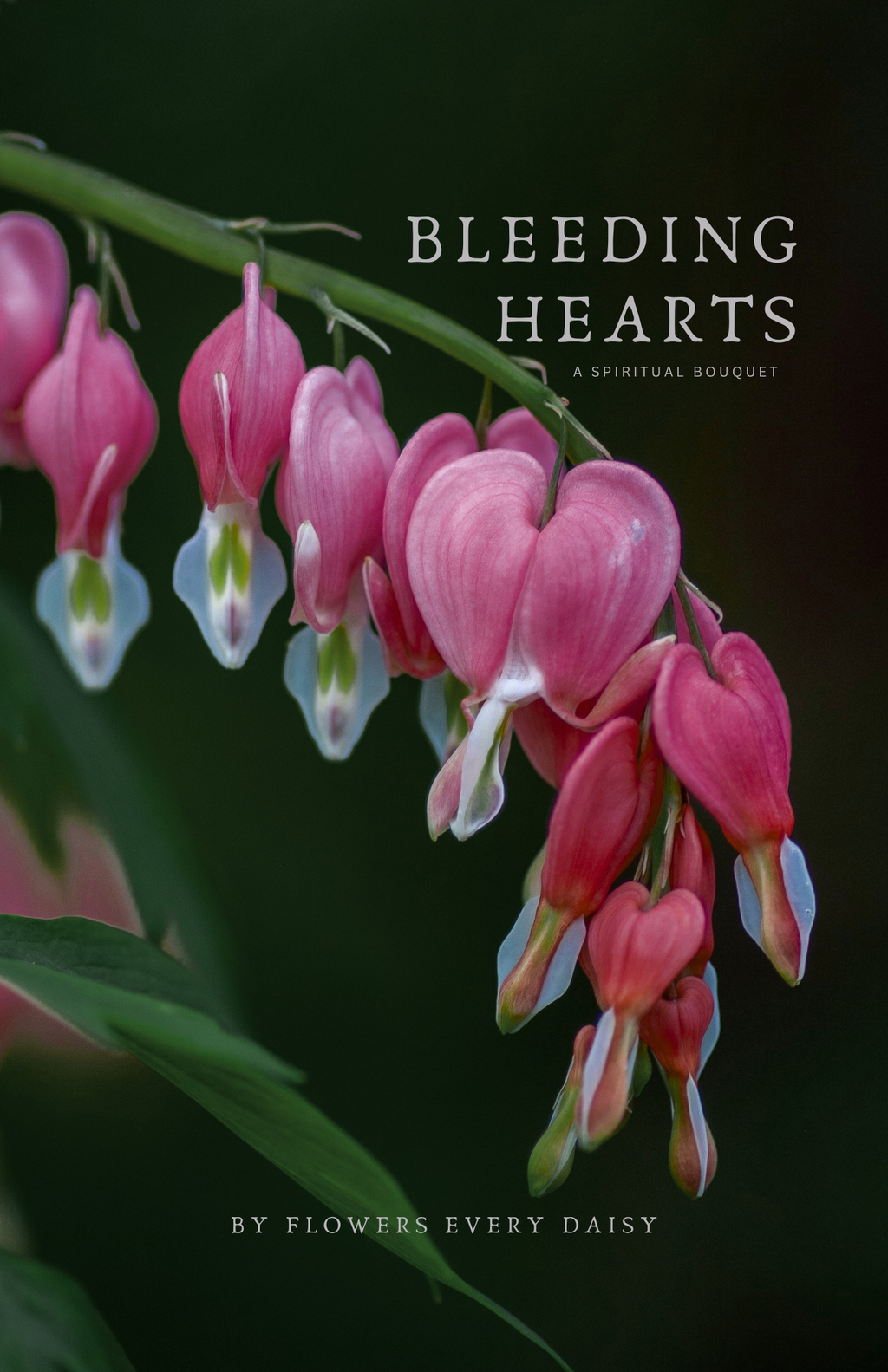 Bleeding Hearts Book