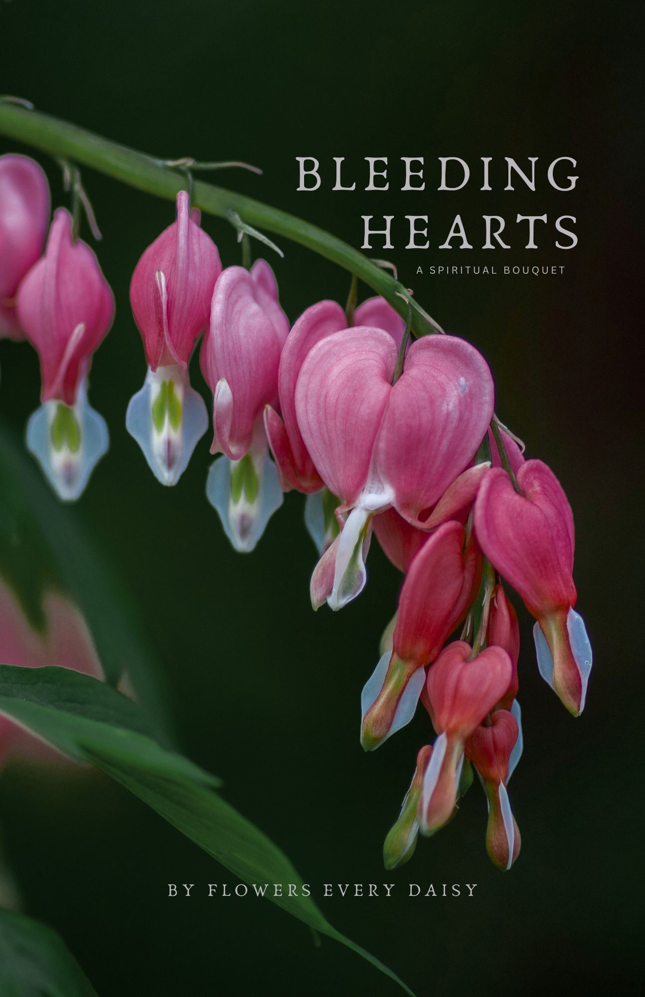 Bleeding Hearts Book